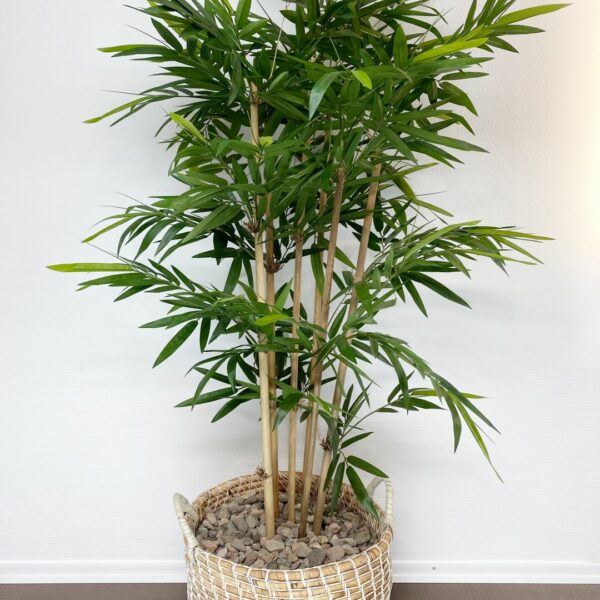 Bambus Kunstpflanze Solo