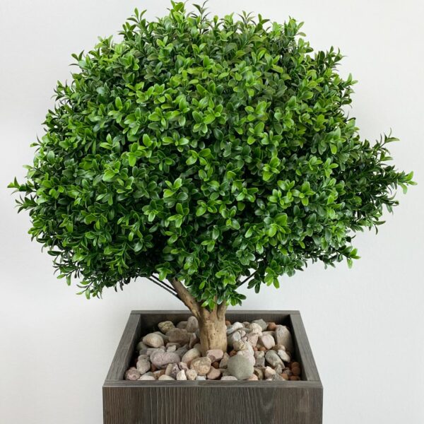 Buchsbaum als Kunstpflanze FEBRÜ Fashion Green