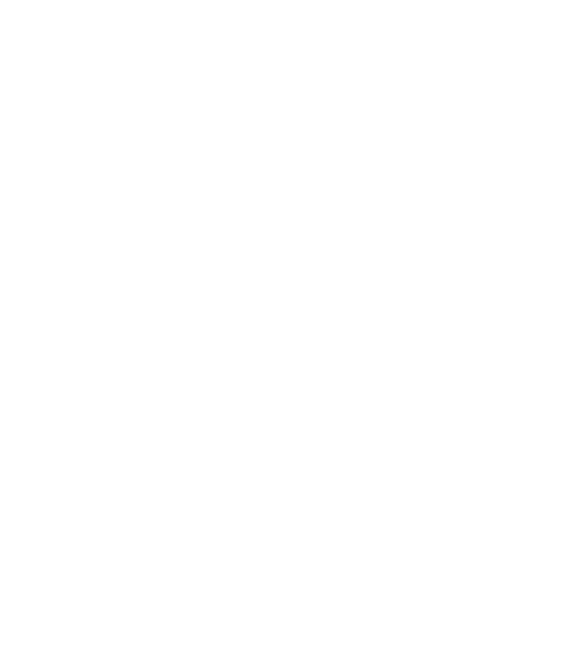 Logo von BUBLITZ Einrichtungen in weiß